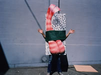 Sushi Costume